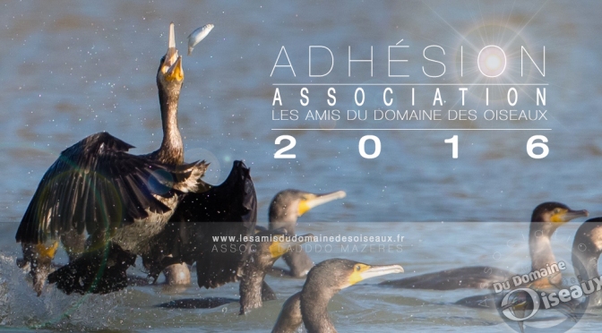Adhésion à l’association pour l’année 2016